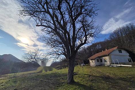 Усадьба на ферме Купчиньий Врх.: 2