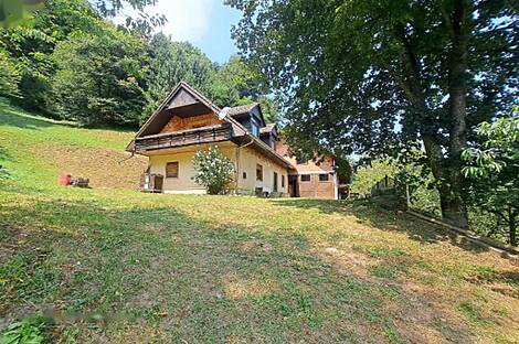 Ранчо, хозяйство Нарапле: 3