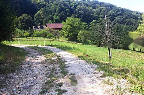 Ранчо, хозяйство Нарапле: 5