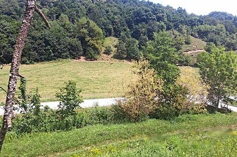 Ранчо, хозяйство Нарапле: 19