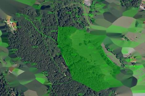 Земельный участок с домом, фермерское хозяйство в Зрече: 7