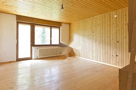 Желимлевская усадьба, расположенная в Кметийаново: 10