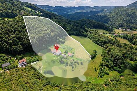 Рифникское имение и ферма, Шентюр возле Целе.: 10