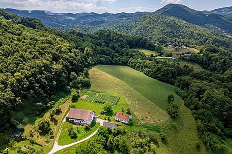 Рифникское имение и ферма, Шентюр возле Целе.: 13