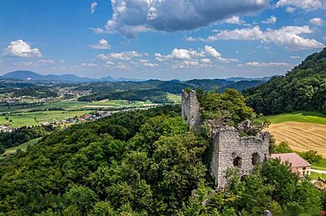 Рифникское имение и ферма, Шентюр возле Целе.: 15