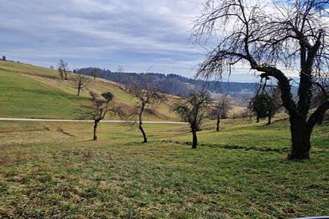 Усадьба Берёзова, ферма в Берёзовой.: 2
