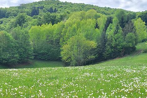 Дом в селе Конец рядом с Горянцами: 9
