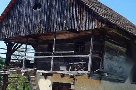 Усадьба и ферма по выращиванию орехов в Бизелье: 5