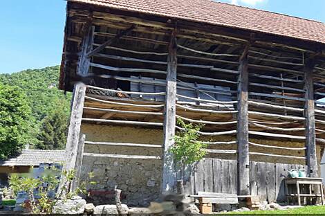 Усадьба и ферма по выращиванию орехов в Бизелье: 6