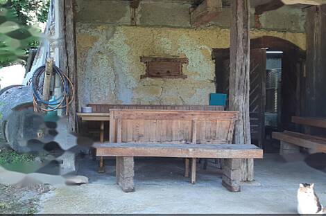 Усадьба и ферма по выращиванию орехов в Бизелье: 25