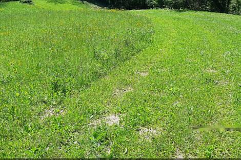 Усадьба и ферма по выращиванию орехов в Бизелье: 27