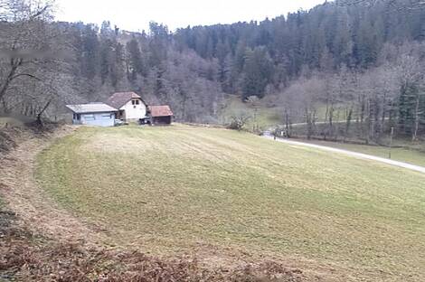 Поместье, сельскохозяйственный участок Нижняя Вижинга: 1