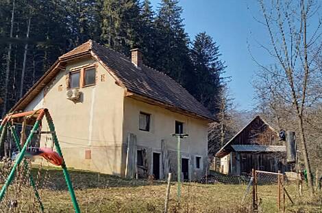 Поместье, сельскохозяйственный участок Нижняя Вижинга: 5