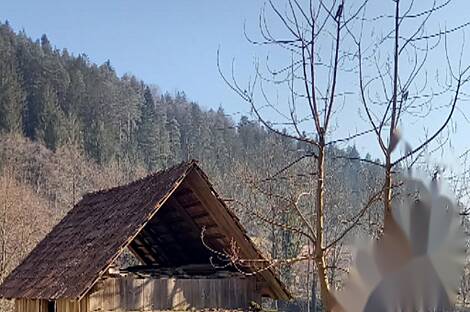 Поместье, сельскохозяйственный участок Нижняя Вижинга: 6