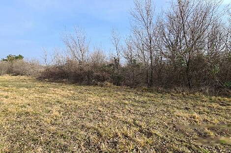 Усадьба Урбанцы, ферма Тиньянов.: 6