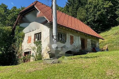 Усадьба, фермерский дом Лашска Вас.: 5