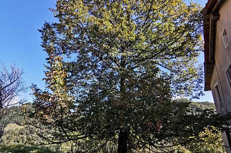 Поместье Долар на солнечной окраине плато: 17