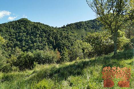 Поместье Долар на солнечной окраине плато: 19