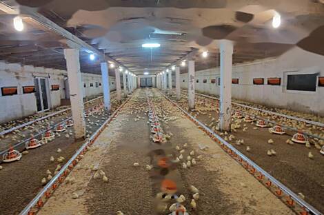 Усадьба Фаровец, неподалеку от Словенской Бистрицы: 3