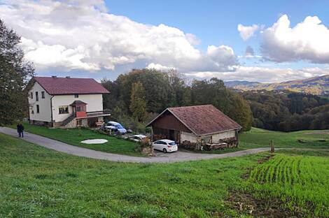 Особняк, хозяйство Каменце: 3