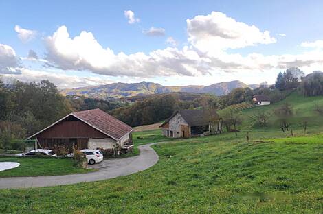 Особняк, хозяйство Каменце: 4