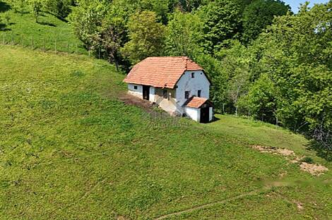 Дом, ферма Верхний Лесковец, Велика Варница: 6