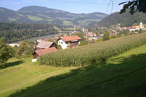 Дом с прилегающей территорией, фермерское хозяйство Вуженица: 2