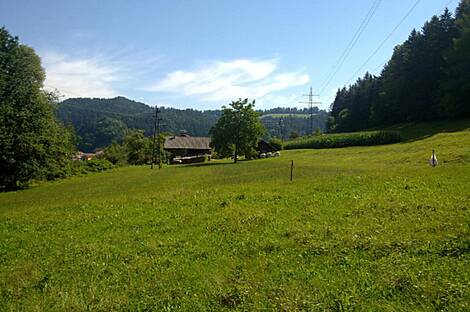 Дом с прилегающей территорией, фермерское хозяйство Вуженица: 4