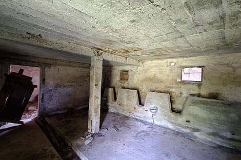 Усадьба, хозяйство Забуковье.: 5