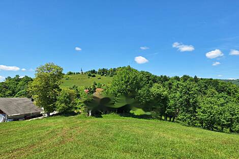 Усадьба, хозяйство Забуковье.: 11