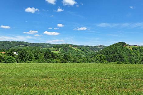 Усадьба, хозяйство Забуковье.: 12