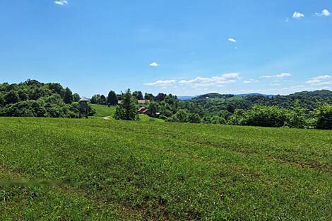 Усадьба, хозяйство Забуковье.: 13