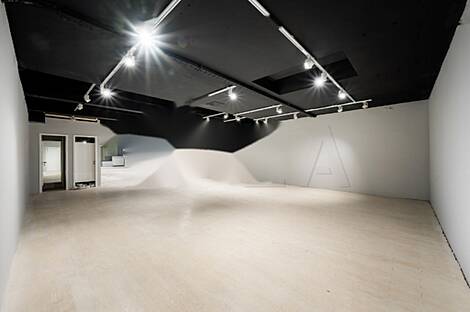 Центральное коммерческое помещение: 11