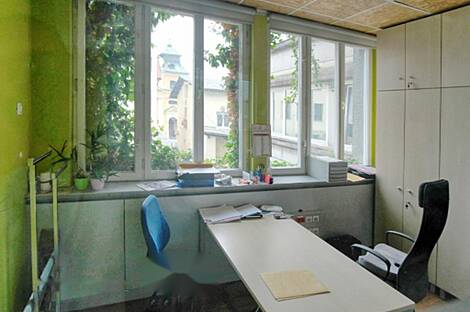 Квартира для офиса в Шентвиде: 1