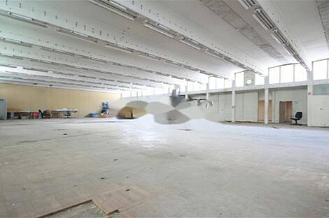 Рекламируемая площадь в Бежиграде: 4