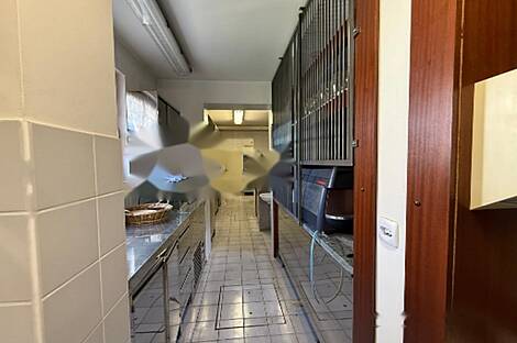 Отель в Липоглаве: 18