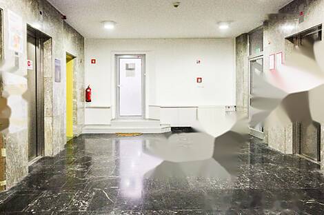 Квартира в центральной части города используемая для коммерческих целей: 19