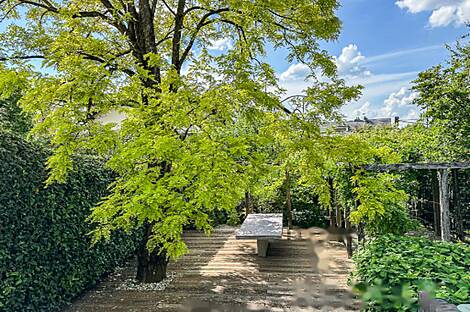 Трново: дом с террасой: 4