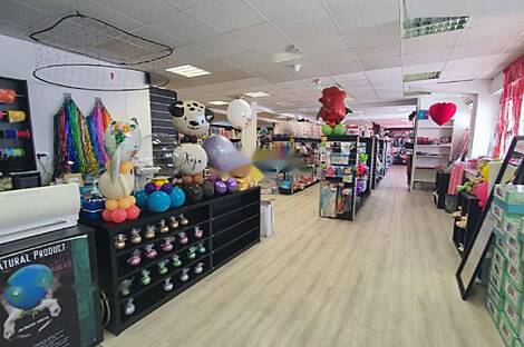 Квартира для коммерческой эксплуатации в Мосте: 9