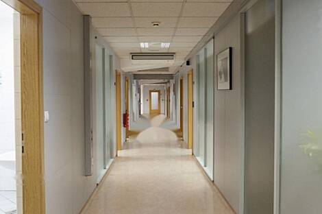 Помещение офиса Шишка: 6