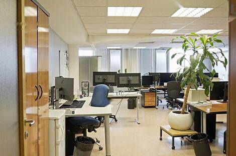 Помещение офиса Шишка: 25