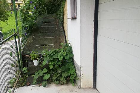 Усадьба, Квартира, Пустошь: 5