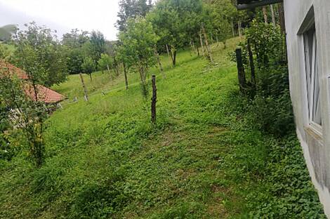 Усадьба, Квартира, Пустошь: 6