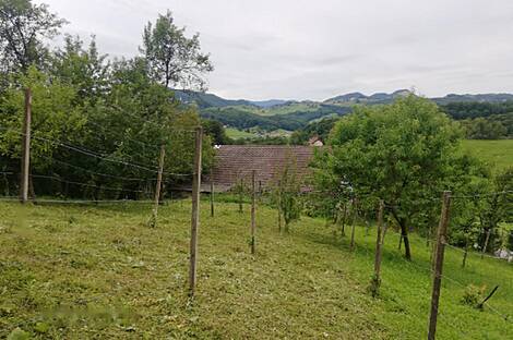 Усадьба, Квартира, Пустошь: 7