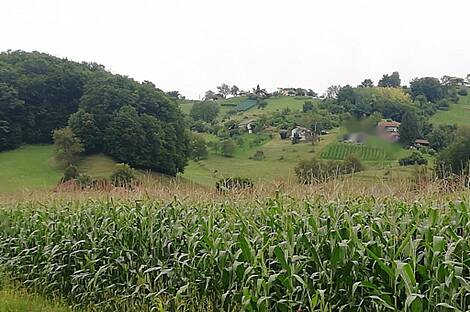 Усадьба, Квартира, Пустошь: 11