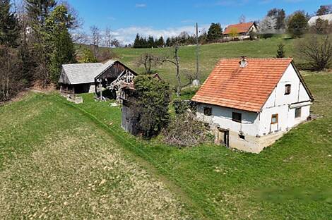 Жилище, Яворник: 12