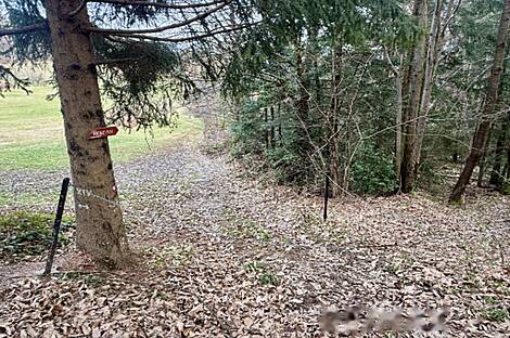 Жилище, Яворник: 15