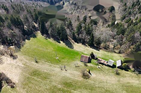 Жилище, Яворник: 17