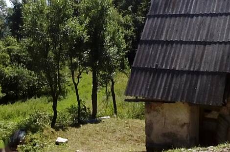 Локовец, дом.: 8