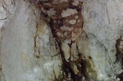 Локовец, дом.: 10